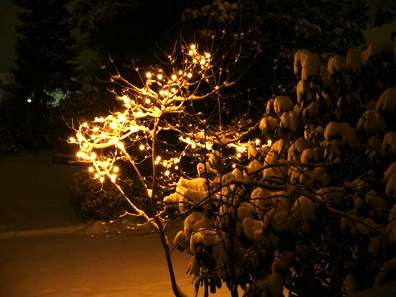 Garden lights