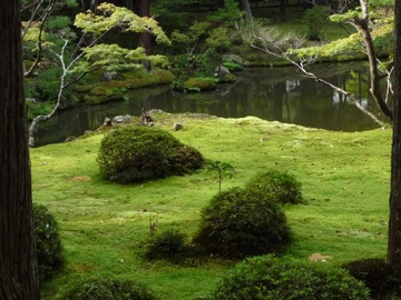 Kyoto Moss Garden