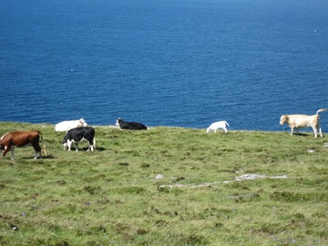 Burren hike