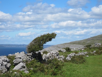 Burren hike