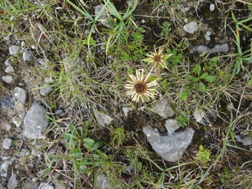 Burren