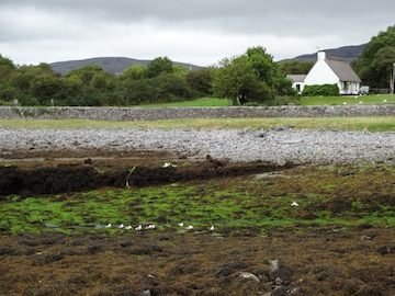 Ballyvaughan