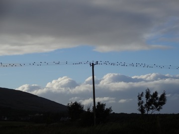 Ballyvaughan