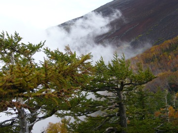 Fuji-san