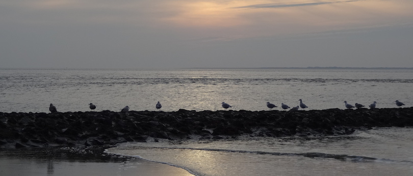 Norderney at winter time