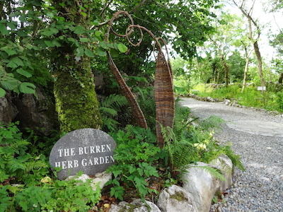 Burren Perfumery herb garden