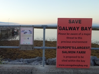 Ballyvaughan Pier, SAVE GALWAY BAY (click pic)