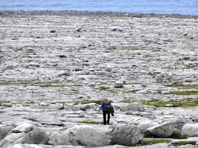 Burren