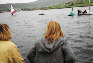 Dingle Dolphin Tour